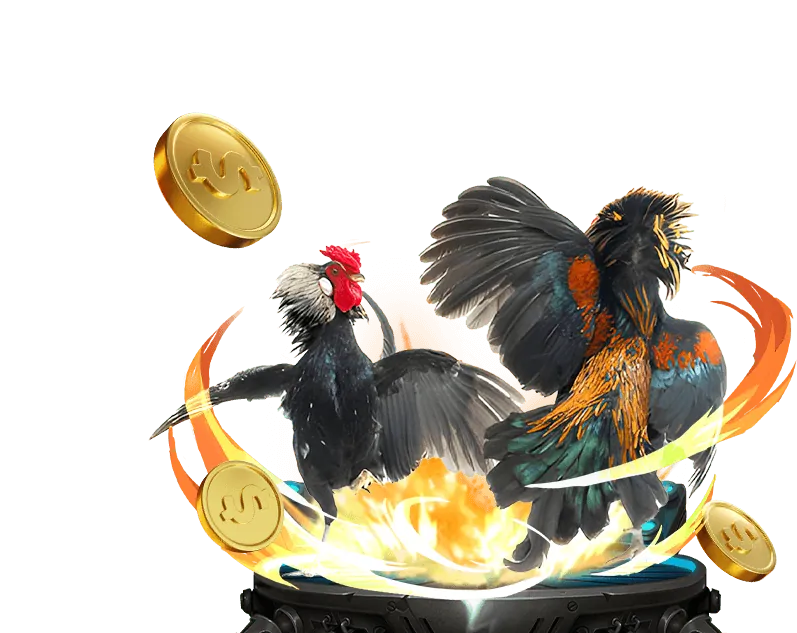 Hướng dẫn chi tiết cho người mới bắt đầu tại zbet68 win
